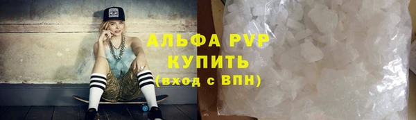 эйфоретик Няндома