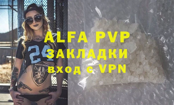 амф Новодвинск