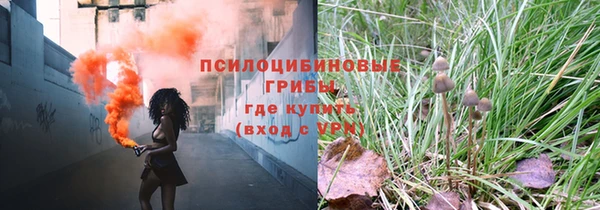 эйфоретик Няндома