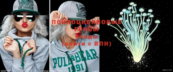 амф Новодвинск
