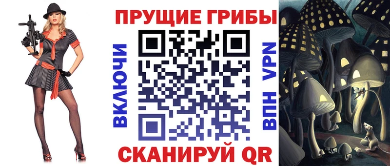 маркетплейс формула  Новоузенск  Галлюциногенные грибы прущие грибы 
