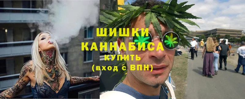 продажа наркотиков  Новоузенск  shop официальный сайт  Конопля Bruce Banner 